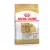 Royal Canin Canine Jack Russell Adult száraztáp 1,5kg