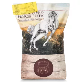 Helianthus Tenyész I. lótáp 20kg