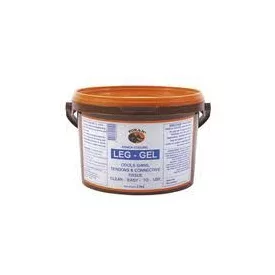 Foran Arnica Leg gél 500gr