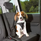 Trixie 12856 Car Harness Comfort - biztonsági hám autóba -fekete - (M) kutyák részére (50-65cm/20mm)