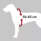 Trixie 12856 Car Harness Comfort - biztonsági hám autóba -fekete - (M) kutyák részére (50-65cm/20mm)