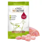 Platinum VETACTIVE Sensitive gyógytáp pulykahússal érzékeny emésztésű kutyának 5kg