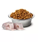 N&D White Dog tengeri sügér, spirulina & édeskömény adult mini száraz kutyatáp 2kg
