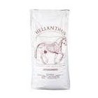 Helianthus lucerna pellet 20kg