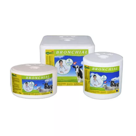 Bronchial mikroelemes nyalósó vitaminokkal, menta és eukaliptusz olajjal 10kg