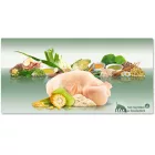 PLATINUM Adult Chicken-kutyatáp felnőtt kutyának csirkehúsból 5kg