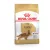 Royal Canin Canine Cocker Adult száraztáp 3kg