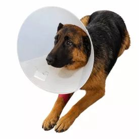 BUSTER Műtéti gallér 35cm