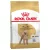 Royal Canin Canine Poodle száraztáp 7,5kg