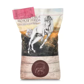 Helianthus Alap lótáp 20kg