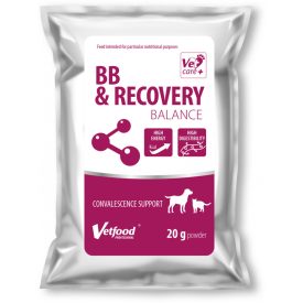 MP BB Recovery Balance por 20g