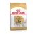 Royal Canin Canine Pug száraztáp 500g