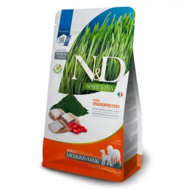   N&D Dog Spirulina Adult Medium/Maxi hering, spirulina és goji-bogyó száraztáp kutyának 2kg