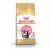 Royal Canin Feline Kitten Persian száraztáp 2kg