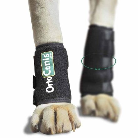 Ortocanis - Ízületvédő kéztőre kutyáknak XS (9-11cm)