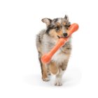 West Paw Echo Zwig apport játék kutyának L, narancs