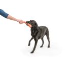 West Paw Echo Zwig apport játék kutyának L, narancs