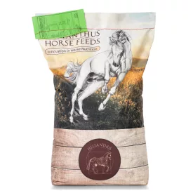   Helianthus Senior lótáp raklapos 50x20kg (raklapos kiszerelés)